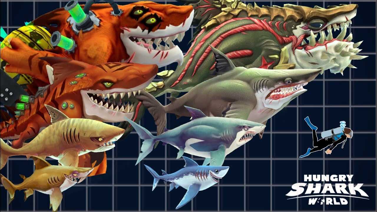 Игровой процесс на слоте Hungry Shark