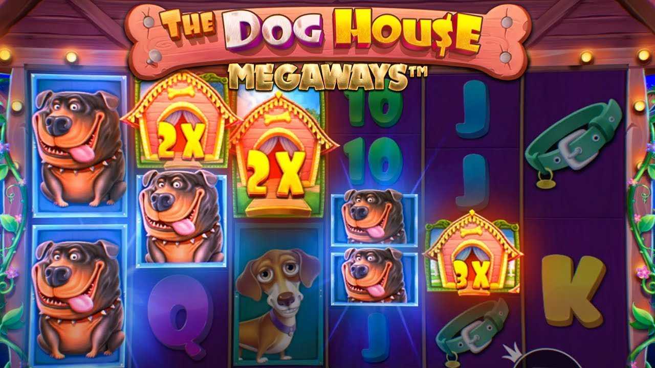 Как выиграть на слоте The Dog House Multihold от Pragmatic Play